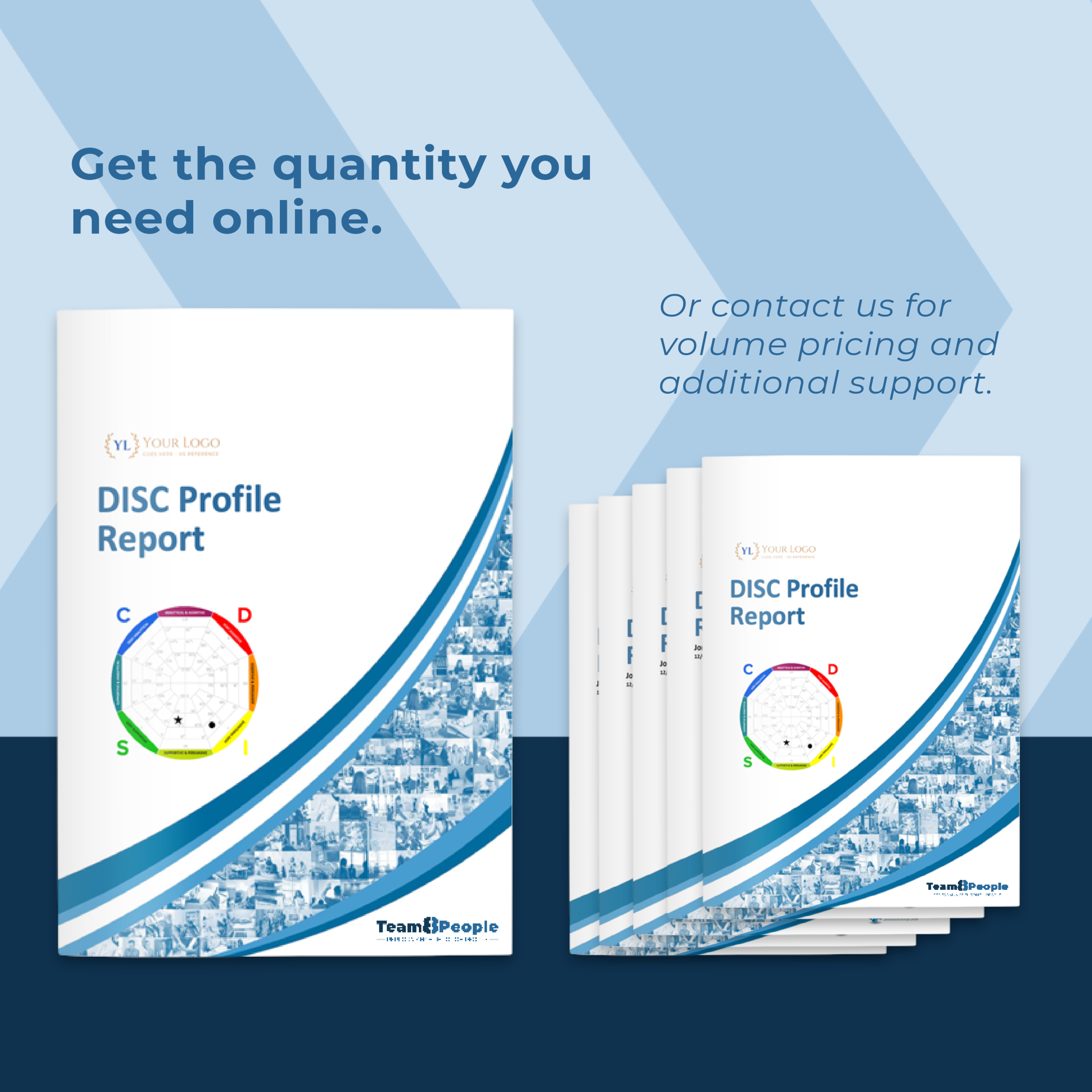 Team8 People DISC Profiles inclusions & capabilities