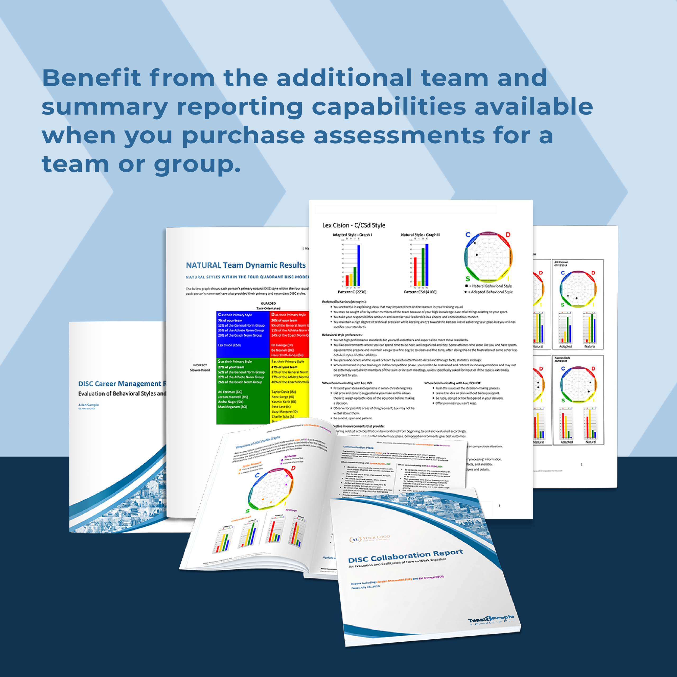 Team8 People DISC Profiles inclusions & capabilities