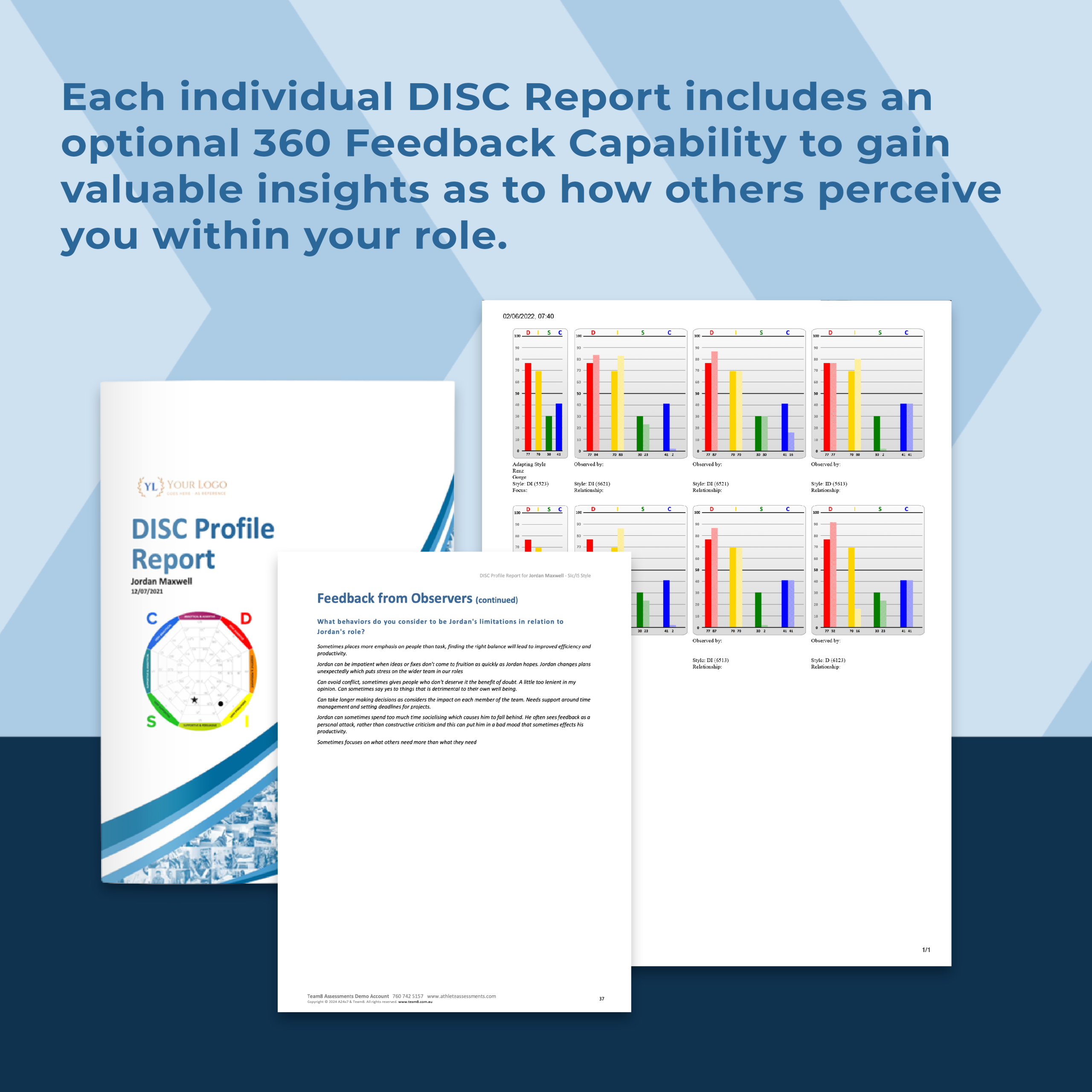 Team8 People DISC Profiles inclusions & capabilities